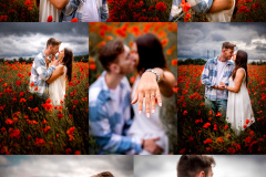 Collage.ak_