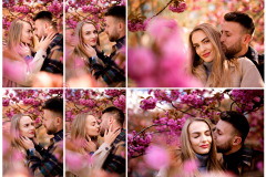 Collage